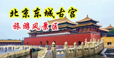 巨屌操肉丝中国北京-东城古宫旅游风景区